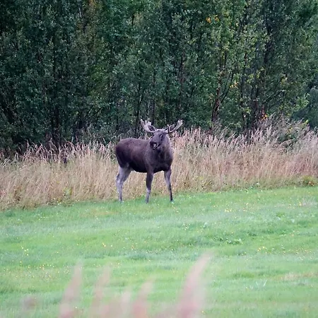 Kystferie Hébergement de vacances Larseng